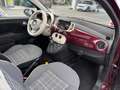 Fiat 500 500 1.2 Lounge PANORAMA CERCHI BLUETOOTH STUPENDA Mauve - thumbnail 14