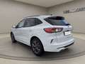 Ford Kuga Plug-In Hybrid ST-Line X / LED / AHK / ACC Weiß - thumbnail 7