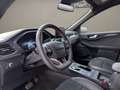 Ford Kuga Plug-In Hybrid ST-Line X / LED / AHK / ACC Weiß - thumbnail 9