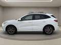Ford Kuga Plug-In Hybrid ST-Line X / LED / AHK / ACC Weiß - thumbnail 8
