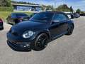 Volkswagen Beetle Cabrio 2.0 TDI Austria Leder PTS Schwarz - thumbnail 2
