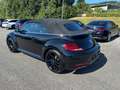 Volkswagen Beetle Cabrio 2.0 TDI Austria Leder PTS Schwarz - thumbnail 5