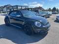 Volkswagen Beetle Cabrio 2.0 TDI Austria Leder PTS Schwarz - thumbnail 3