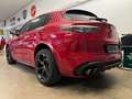 Alfa Romeo Stelvio Quadrifoglio Q4 Akrapovic (Werk) Blau - thumbnail 14