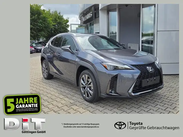 Lexus UX 300h F Sport Design Klimaaut., ACC,SpurH, LM