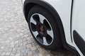 Fiat Panda III Cross 1.2 easypower City Cross GPL di serie Bianco - thumbnail 15