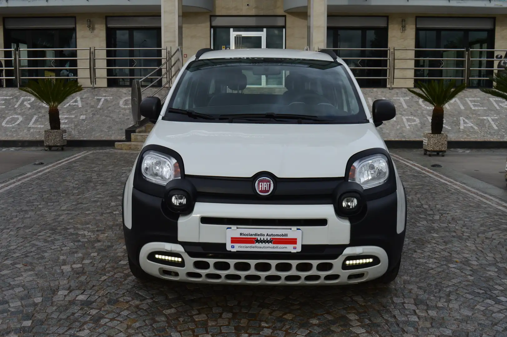 Fiat Panda III Cross 1.2 easypower City Cross GPL di serie Bianco - 2