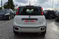 Fiat Panda III Cross 1.2 easypower City Cross GPL di serie Bianco - thumbnail 5