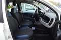 Fiat Panda III Cross 1.2 easypower City Cross GPL di serie Bianco - thumbnail 8