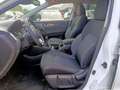 Nissan Qashqai 1.2 DIG-T 115cv N-Connecta 2WD 1.2 dig-t N-Connec Alb - thumbnail 14
