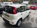 Fiat Panda Panda 1.0 FireFly S&S Hybrid Pandina Bianco - thumbnail 3