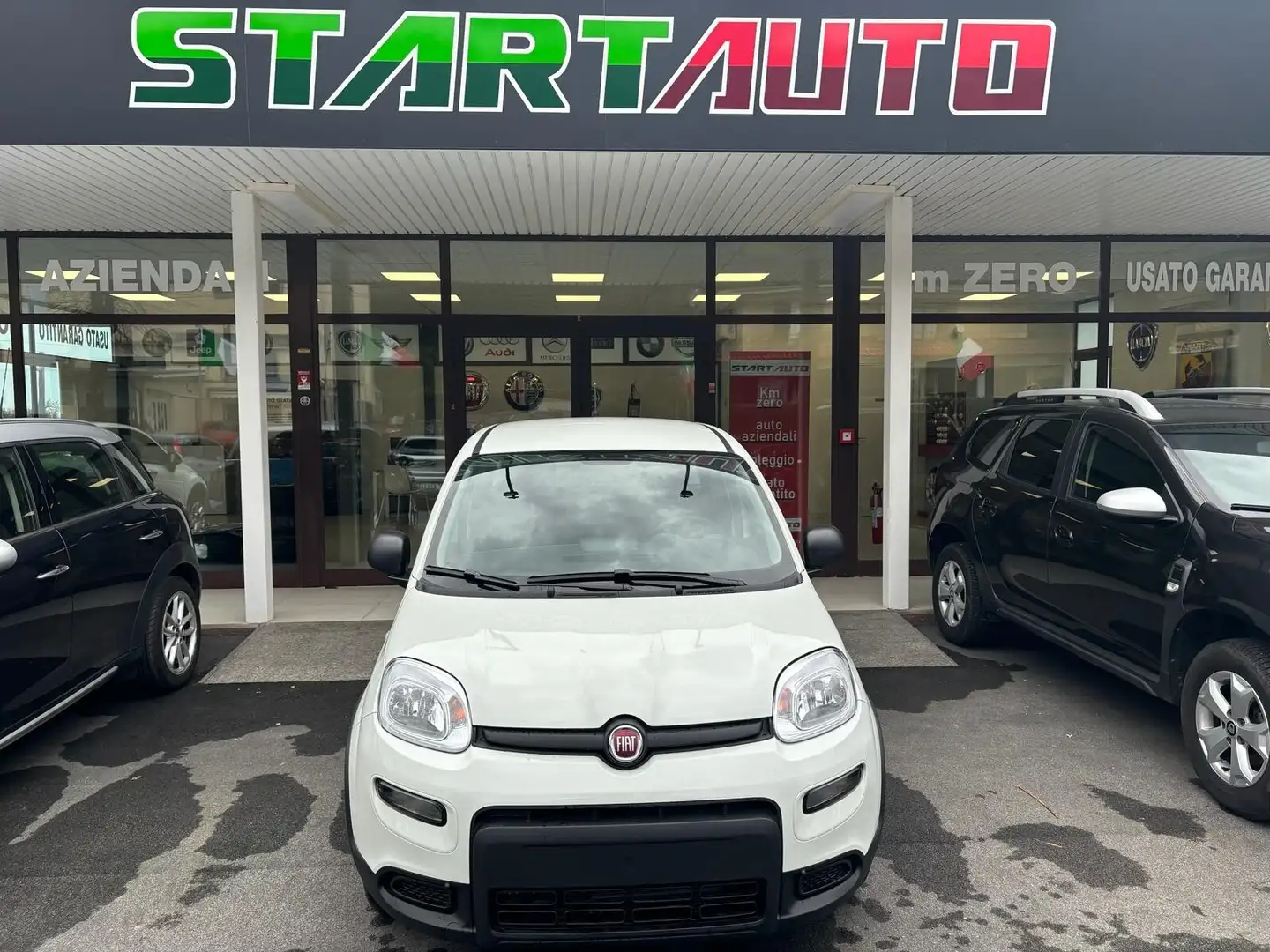 Fiat Panda Panda 1.0 FireFly S&S Hybrid Pandina Bianco - 1