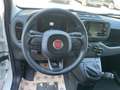 Fiat Panda Panda 1.0 FireFly S&S Hybrid Pandina Bianco - thumbnail 15