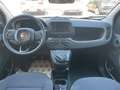 Fiat Panda Panda 1.0 FireFly S&S Hybrid Pandina Bianco - thumbnail 14