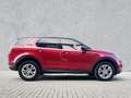 Land Rover Discovery Sport P200 S Rot - thumbnail 7