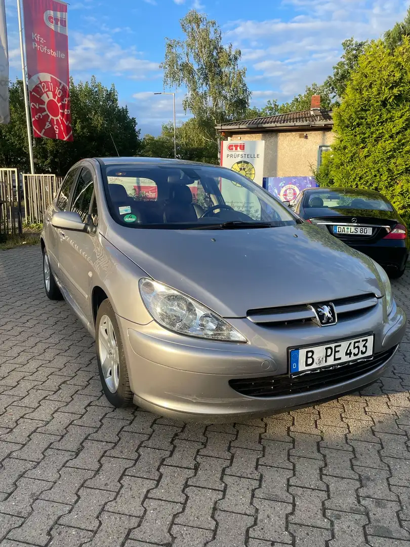 Peugeot 307 Sport Grey - 1
