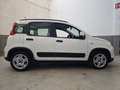 Fiat Panda 1.0 firefly hybrid City Life s&s 70cv Bianco - thumbnail 4
