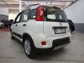 Fiat Panda 1.0 firefly hybrid City Life s&s 70cv Bianco - thumbnail 8
