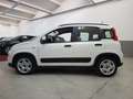 Fiat Panda 1.0 firefly hybrid City Life s&s 70cv Bianco - thumbnail 5