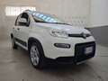 Fiat Panda 1.0 firefly hybrid City Life s&s 70cv Bianco - thumbnail 2