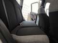 Fiat Panda 1.0 firefly hybrid City Life s&s 70cv Bianco - thumbnail 10