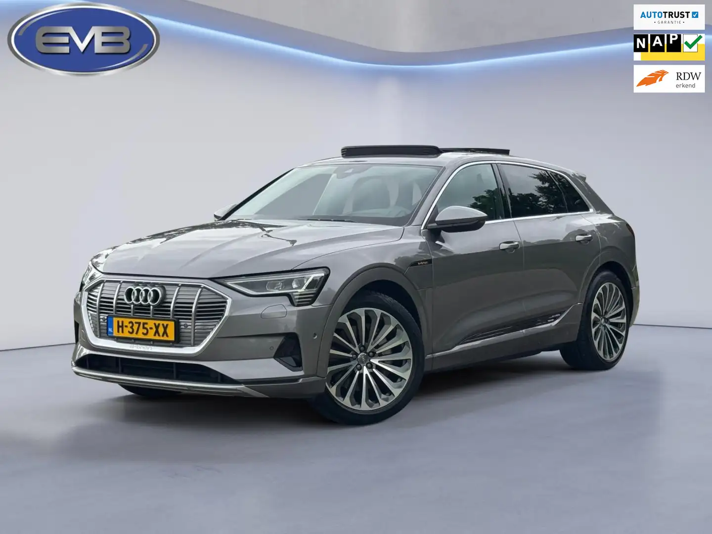 Audi e-tron E-tron 55 quattro advanced 95 kWh S-line, panorama Grijs - 1