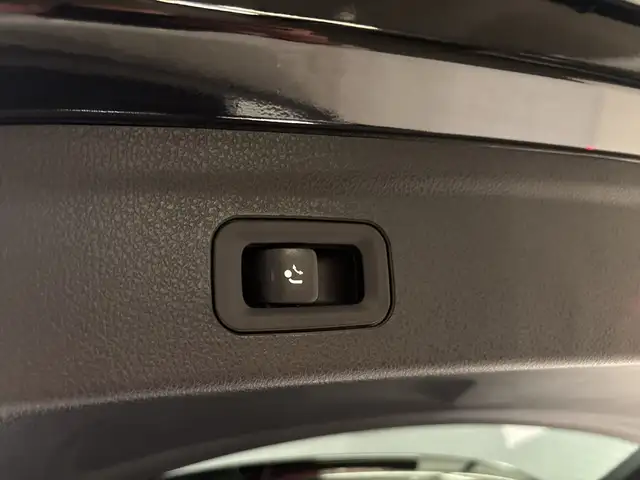 Mercedes-Benz GLE 53 AMG HYBRID 4MATIC+ Perf-AGA PTS Distr Navi Ansicht 19