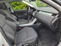 Land Rover Range Rover Evoque eD4 2WD Blanc - thumbnail 8