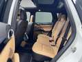 Porsche Cayenne 3.0 V6 tdi 245cv tiptronic PLATINUM EDITION Bianco - thumbnail 15
