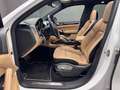 Porsche Cayenne 3.0 V6 tdi 245cv tiptronic PLATINUM EDITION Bianco - thumbnail 7