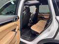 Porsche Cayenne 3.0 V6 tdi 245cv tiptronic PLATINUM EDITION Bianco - thumbnail 14