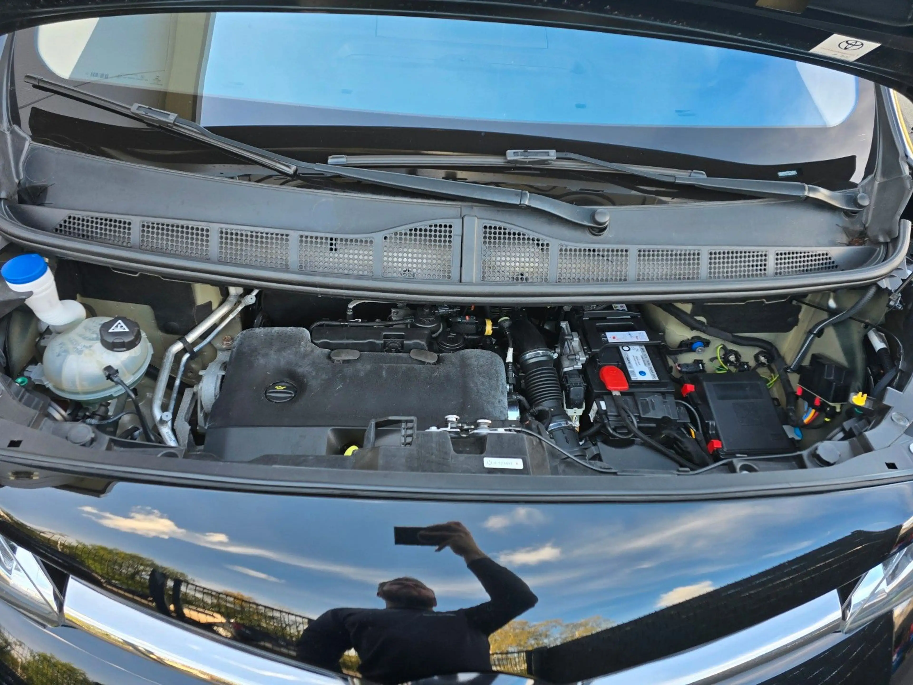 Toyota Proace Verso L1 Team Deutschland — photo 14