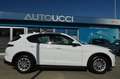 Alfa Romeo Stelvio 2.2 Turbodiesel 190 CV AT8 Q4 Business Bianco - thumbnail 19