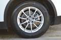 Alfa Romeo Stelvio 2.2 Turbodiesel 190 CV AT8 Q4 Business Bianco - thumbnail 18