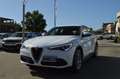 Alfa Romeo Stelvio 2.2 Turbodiesel 190 CV AT8 Q4 Business Bianco - thumbnail 20