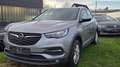 Opel Grandland X Edition APPLE Carplay Navi Parkpilot Grau - thumbnail 5