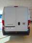 Fiat Ducato furgone 35Q L2 H2 140CV 2.2 Multijet E6E Bianco - thumbnail 4
