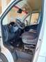 Fiat Ducato furgone 35Q L2 H2 140CV 2.2 Multijet E6E Bianco - thumbnail 12