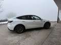 Tesla Model Y Long Range AWD 75kWh - thumbnail 5