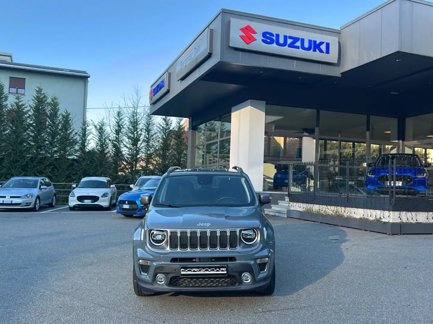 Jeep Renegade Renegade 1.6 Mjt 120 CV Limited Grigio - 2