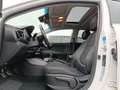 Kia Rio RIO 1.0T 120 GT LINE NAV GD Blanco - thumbnail 14