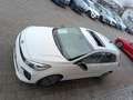 Kia Rio RIO 1.0T 120 GT LINE NAV GD Blanco - thumbnail 10