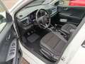 Kia Rio RIO 1.0T 120 GT LINE NAV GD Blanco - thumbnail 12