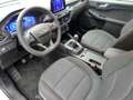 Ford Kuga 1.5 EcoBlue ST-Line FWD 120 Bianco - thumbnail 14