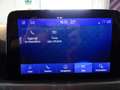 Ford Focus Focus 1.5 EcoBlue 120 CV automatico 5p. Active Co Gris - thumbnail 14
