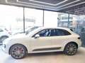Porsche Macan 3.6 Turbo ( Garanzia 12 Mesi) PROMO Bianco - thumbnail 4