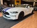 Ford Mustang Fastback 5.0 V8 GT  CERTIFICATA FORD EUROPEA Blanco - thumbnail 2