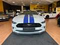 Ford Mustang Fastback 5.0 V8 GT  CERTIFICATA FORD EUROPEA Blanco - thumbnail 3