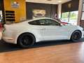 Ford Mustang Fastback 5.0 V8 GT  CERTIFICATA FORD EUROPEA Blanco - thumbnail 7