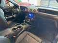 Ford Mustang Fastback 5.0 V8 GT  CERTIFICATA FORD EUROPEA Blanco - thumbnail 17
